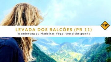 Levada dos Balcões (PR 11): Wanderung zu Madeiras Vögel-Aussichtspunkt