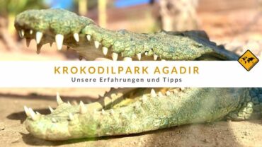 Krokodilpark Agadir: Unsere Erfahrungen und Tipps