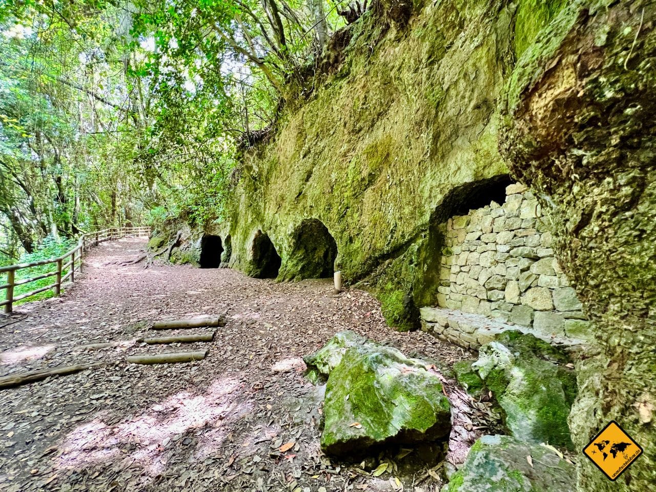 September Teneriffa Esperanza Wald Höhlen
