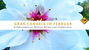 Gran Canaria im Februar: Erfahrungen zu Wetter, Klima und Temperatur