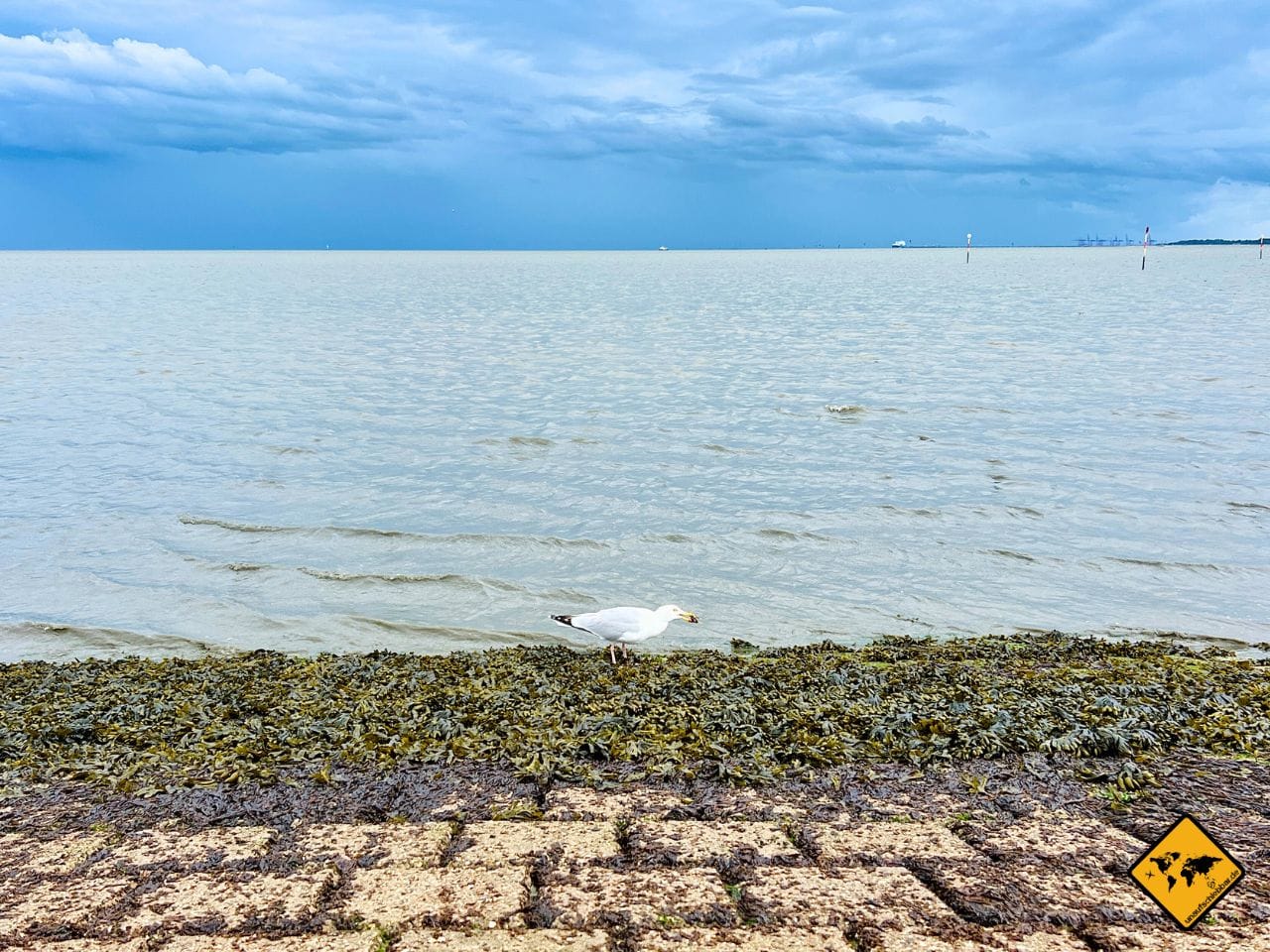 Promenade Schillig Strand Möwe