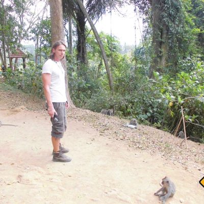 Affen als Weggefährten im Monkey Forest Ubud