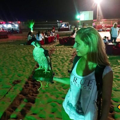 Auf der Dubai Wüstensafari ist auch ein Falke dabei