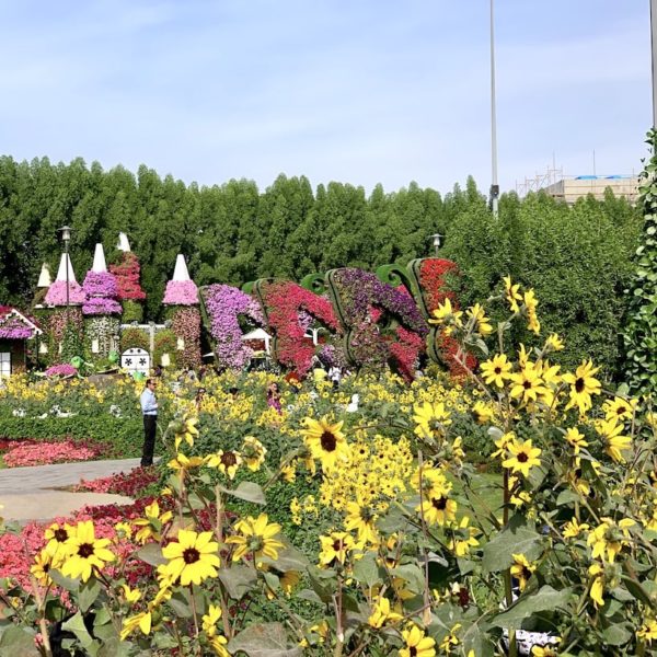 Blumenpracht Miracle Garden Dubai
