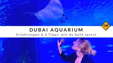 Dubai Aquarium – Erfahrungen & 2 Tipps, wie du Geld sparst
