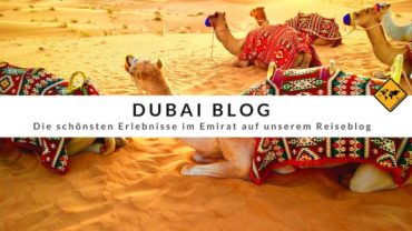 Dubai Blog – die schönsten Erlebnisse im Emirat auf unserem Reiseblog