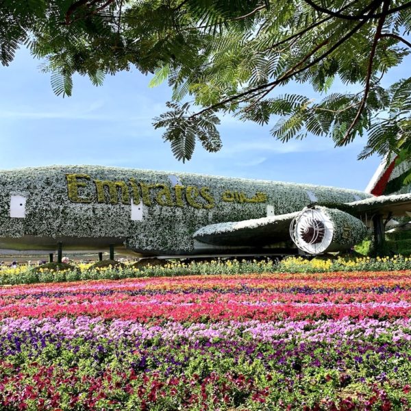Dubai Miracle Garden A380 Flugzeug