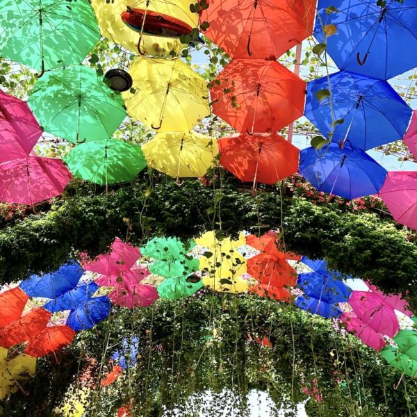 Die bunte Schirm Passage ist für viele Besucher ein Highlight im Miracle Garden in Dubai