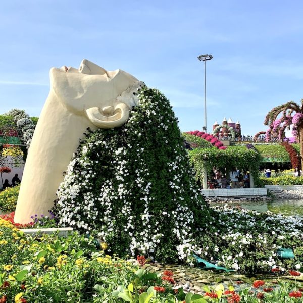 Frau Blumenhaare Miracle Garden in Dubai