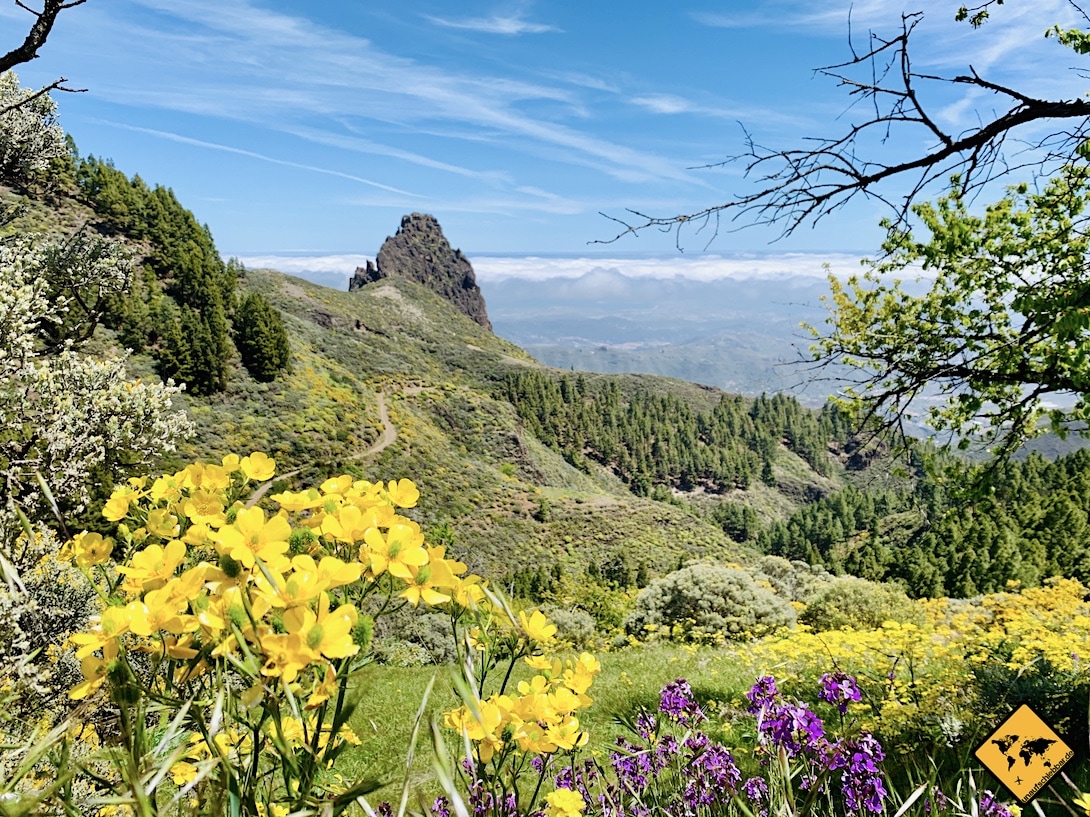 Fuerteventura oder Gran Canaria Landschaft