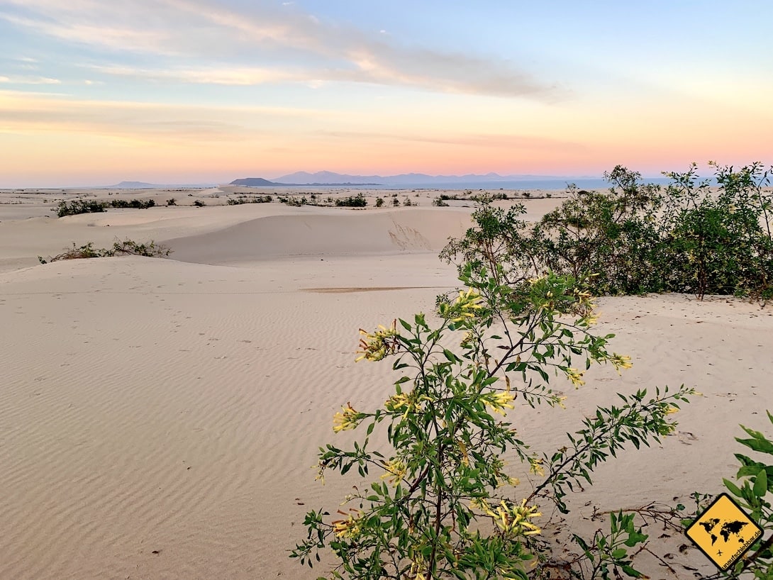 Gran Canaria oder Fuerteventura Sanddünen Strand