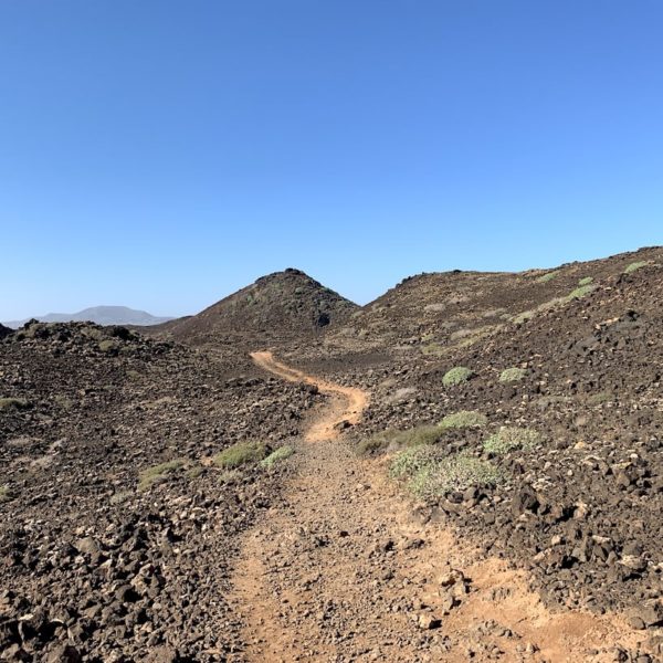 Isla de Lobos Wanderweg durch die Lava