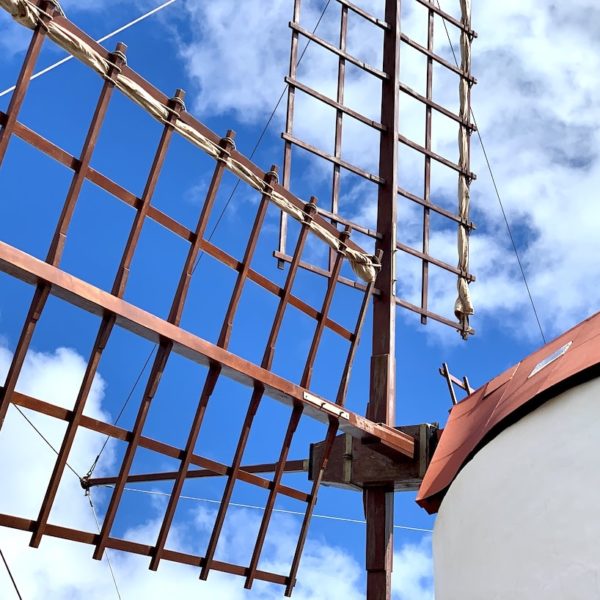 Kakteengarten Lanzarote Windmühle