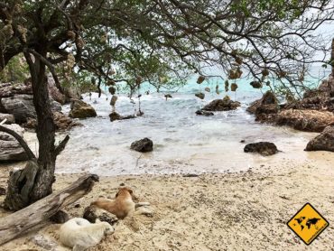 Koh Larn Thailand – türkis-blaue Traumstrände vor Pattaya