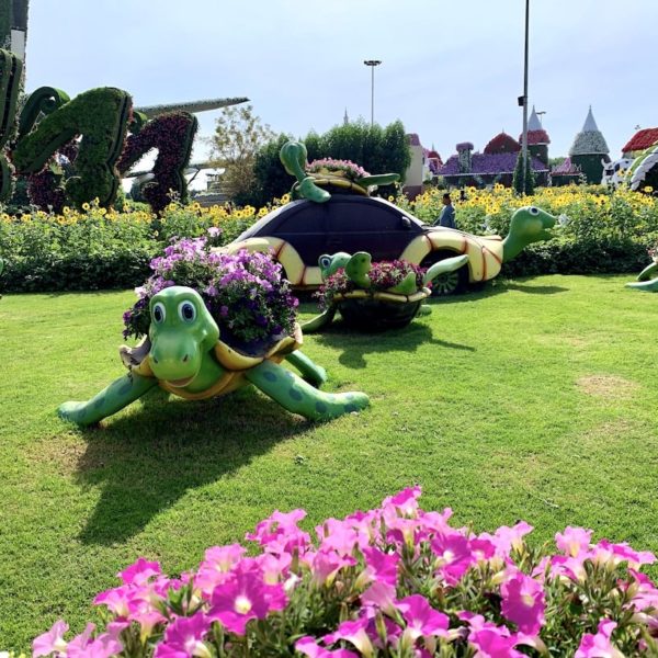 Miracle Garden Dubai Blumen Schildkröten