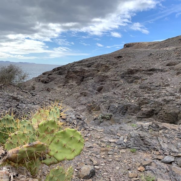 Papagayo Strände Lanzarote wandern