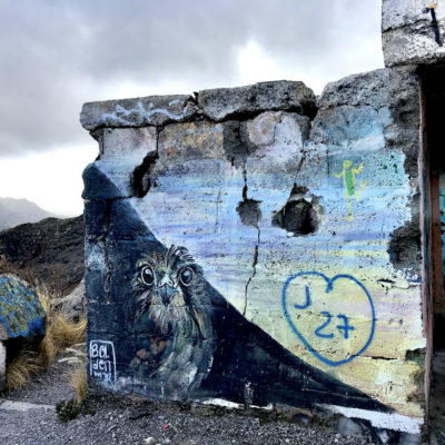 Besonders gut hat uns das Eulen Graffiti am Aussichtspunkt des Playa de las Teresitas gefallen