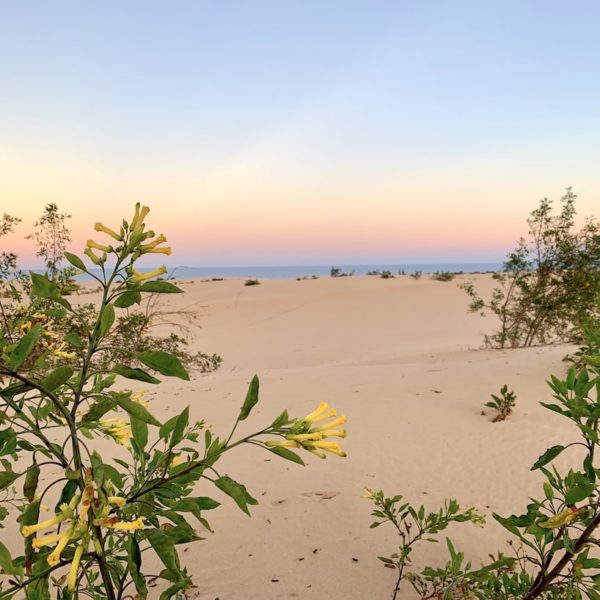 Sanddünen Fuerteventura Corralejo Naturpark