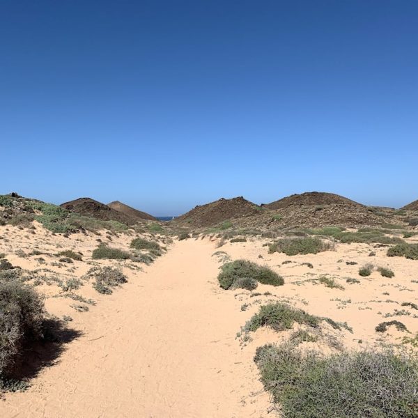 Sandweg Isla de Lobos