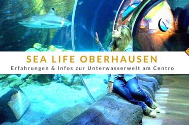 Sea Life Oberhausen – Erfahrungen zur Unterwasserwelt am Centro