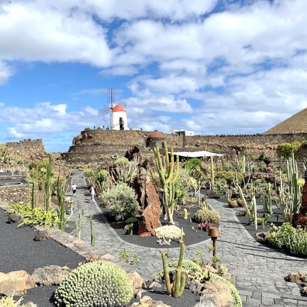 Sehenswürdigkeiten auf Lanzarote: Jardín de Cactus