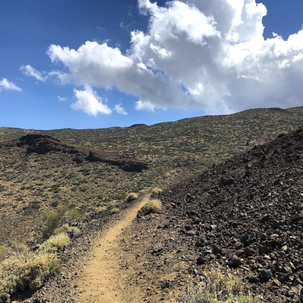 Sendero 14 Teide Nationalpark Teneriffa wandern