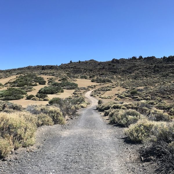 Teide Wanderung Weg