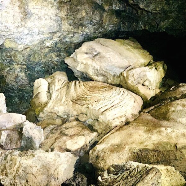 Teneriffa Icod Cueva del Viento Lavagestein