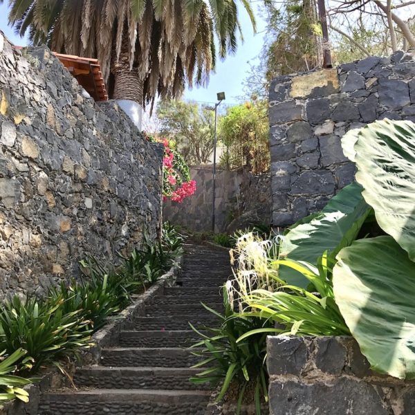 Treppe grün Parque Los Lavaderos El Sauzal