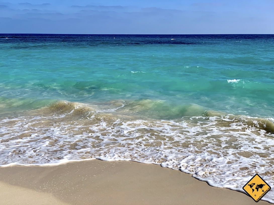 Gran Canaria oder Fuerteventura - Welche Insel passt besser zu dir?