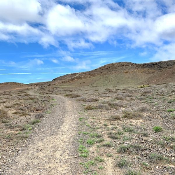 Weg Wanderung Playas de Papagayo Lanzarote